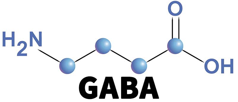GABA Powder-2 GABA Powder-2
