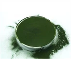 Bột Chlorella Vulgaris