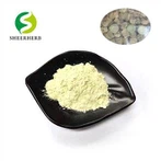 Bột Wasabi nguyên chất