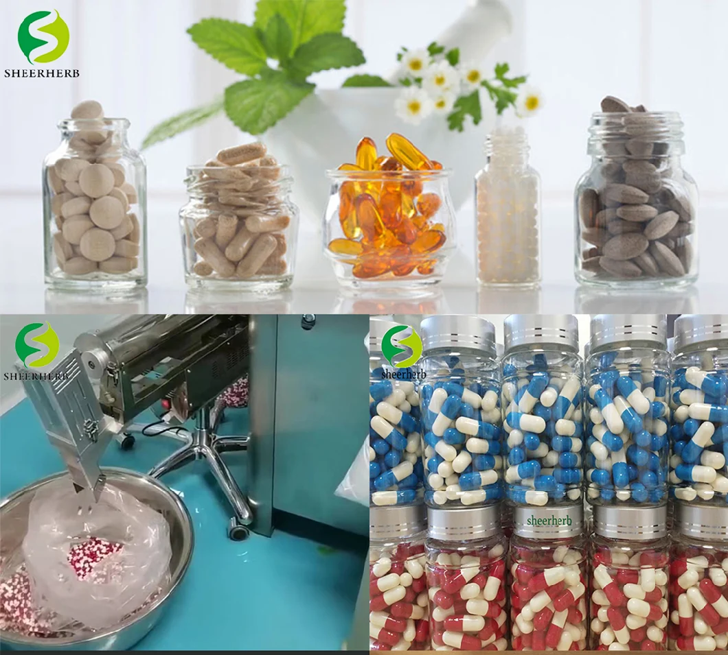 Wholesale Bulk in Stock Factory Direct Medical Raw Powder Tianeptine Sodium GABA 5htp Phenibut Powder