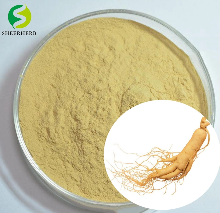 High Quality OEM American Ginsenosides 10% ~80% Ginseng Root Extract for Pharmacy