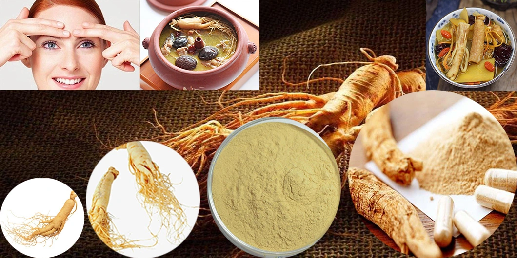 High Quality OEM American Ginsenosides 10% ~80% Ginseng Root Extract for Pharmacy