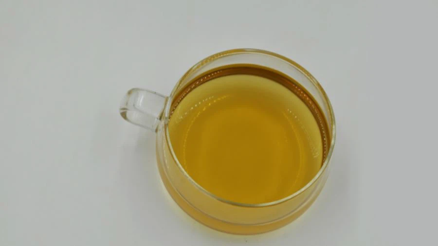 sell reishi mushroom
