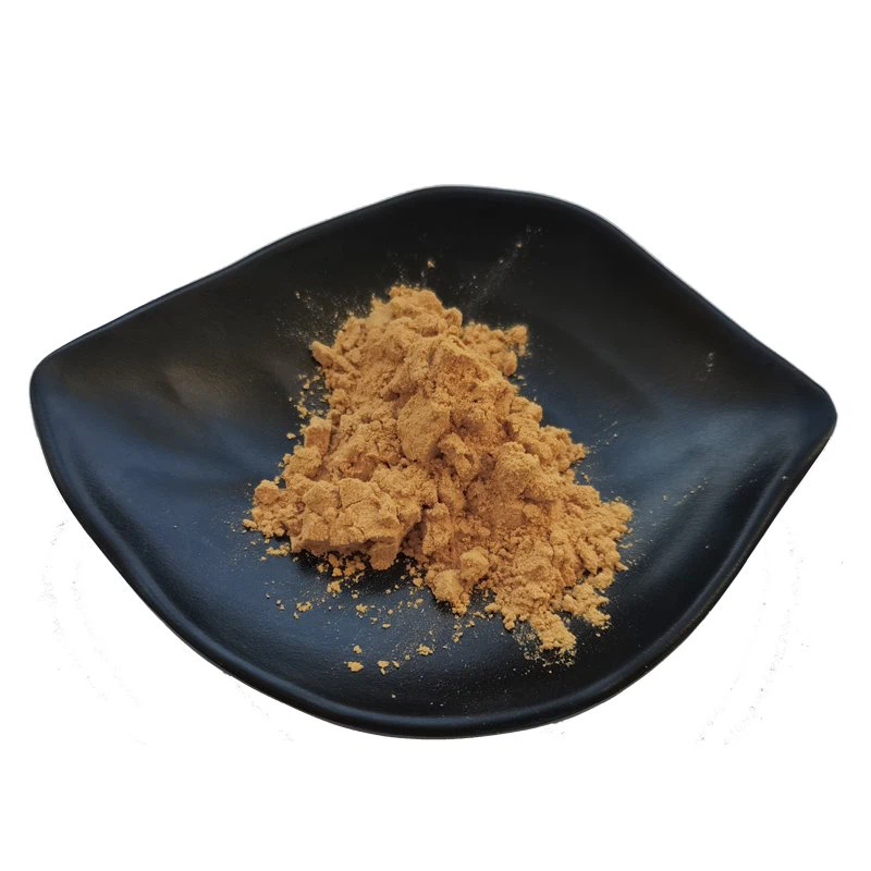 Lion's mane mushroom extract powder