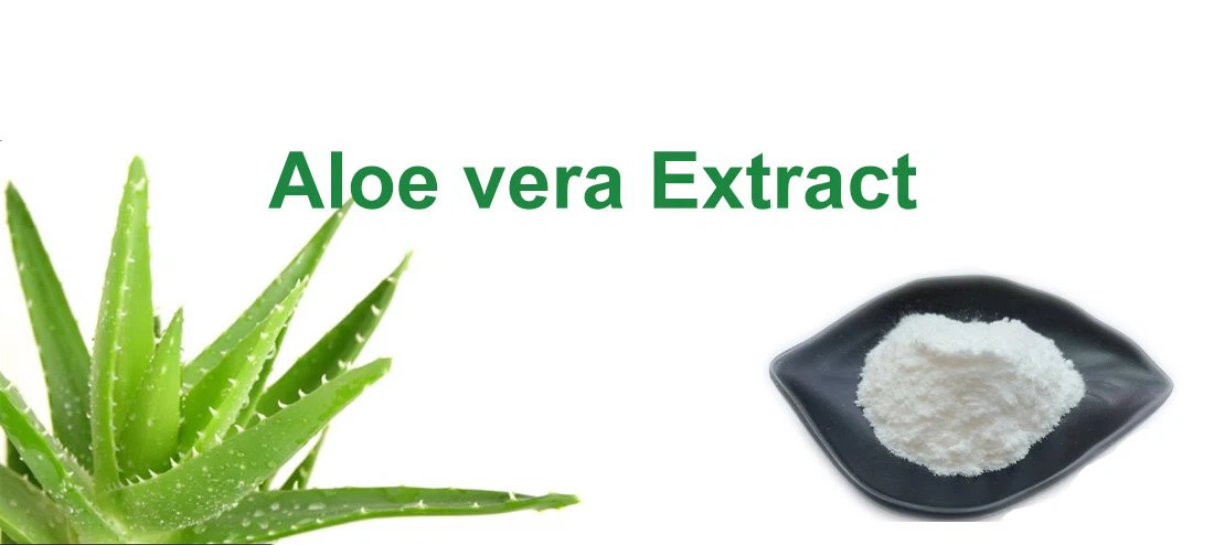 Aloe Extract 2