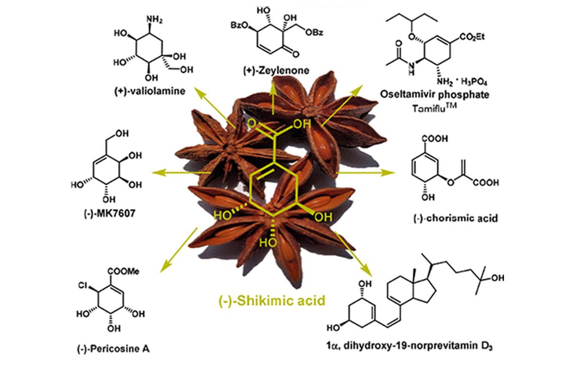 Shikimic acid 5