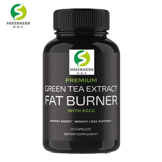 organic green tea capsules
