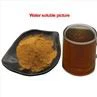 Reishi Mushroom Extract Powder