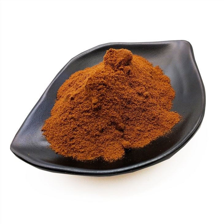 Bột Chaga hữu cơ