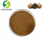 Chiết xuất tỏi đen