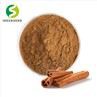 Cinnamon Extract Powder