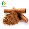 Cinnamon Extract Powder