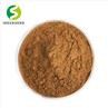 Cinnamon Extract Powder