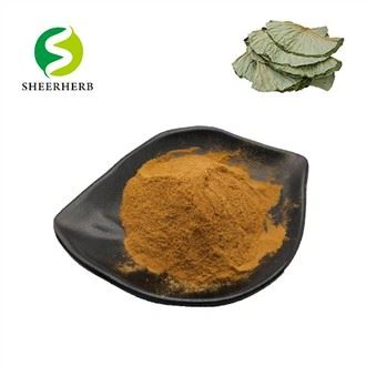 Bột chiết xuất lá sen