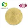 Onion Extract