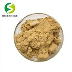 Bột Gingerol nguyên chất