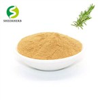 Chiết xuất hương thảo
