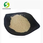 Bột Protein Đậu Nành