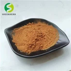 Chiết xuất hạt trà Bột Saponin trà