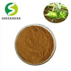 Bột chiết xuất Tribulus Terrestris
