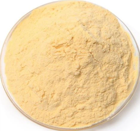 Bột Saponin Hạt Trà