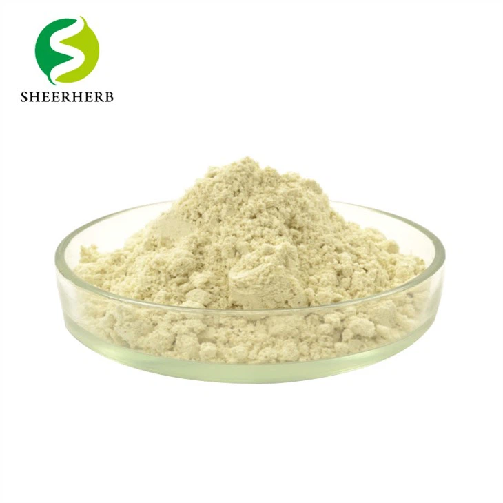 Bột Mucuna Pruriens